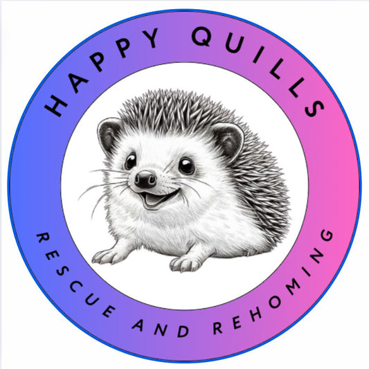Happy Quills Vehicle Vinyl